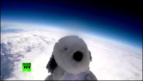  Плюшевый щенок в космосе на воздушном шаре