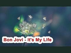Bon Jovi - It's My Life Karaoke