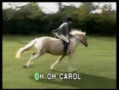 Neil Sedaka - Oh! Carol Karaoke
