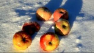 Бони Нем - Яблоки на снегу