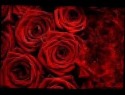 Алла Пугачева - Миллион Алых Роз_ Million of Scarlet Roses