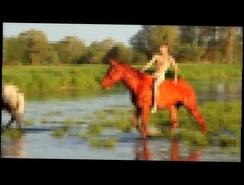 Красный конь - минусовка Наташа Королева