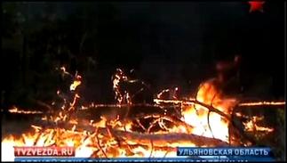 В Ульяновской области вспыхнули лесные пожары